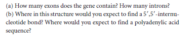 (a) How many exons does the gene contain? How many introns?
(b) Where in this structure would you expect to find a 5',5'-internu-
cleotide bond? Where would you expect to find a polyadenylic acid
sequence?
