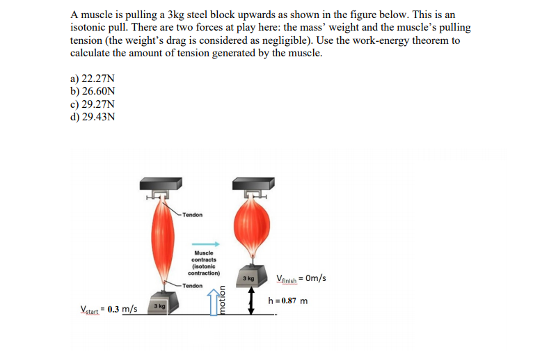 A muscle is pulling a 3kg steel block upwards as shown in the figure below. This is an
isotonic pull. There are two forces at play here: the mass' weight and the muscle's pulling
tension (the weight's drag is considered as negligible). Use the work-energy theorem to
calculate the amount of tension generated by the muscle.
a) 22.27N
b) 26.60N
c) 29.27N
d) 29.43N
Tendon
Muscle
contracts
(isotonic
contraction)
3 kg
Vanish = Om/s
-Tendon
h= 0.87 m
3 kg
Vatart = 0.3 m/s
motion
