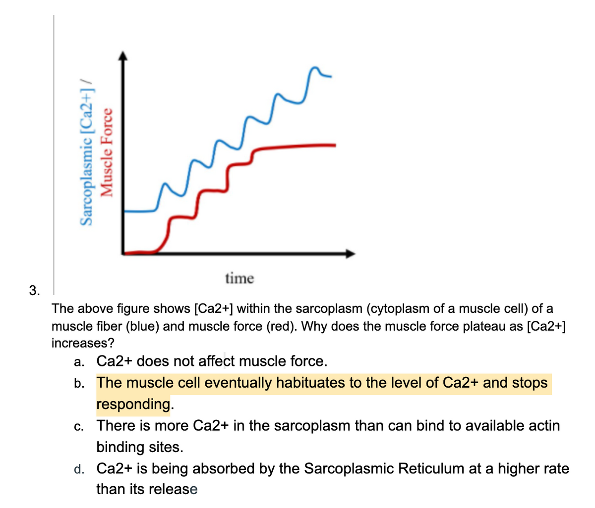 time
3.
The above figure shows [Ca2+] within the sarcoplasm (cytoplasm of a muscle celI) of a
muscle fiber (blue) and muscle force (red). Why does the muscle force plateau as [Ca2+]
increases?
a. Ca2+ does not affect muscle force.
b. The muscle cell eventually habituates to the level of Ca2+ and stops
responding.
c. There is more Ca2+ in the sarcoplasm than can bind to available actin
binding sites.
d. Ca2+ is being absorbed by the Sarcoplasmic Reticulum at a higher rate
than its release
Sarcoplasmic [Ca2+] /
Muscle Force
