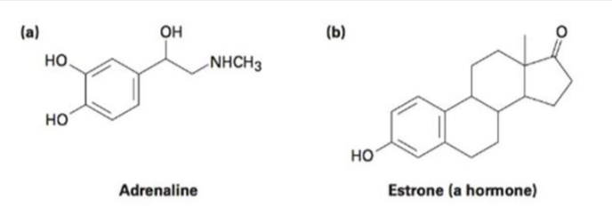 (a)
OH
(b)
но.
NHCH3
но
но
Adrenaline
Estrone (a hormone)
