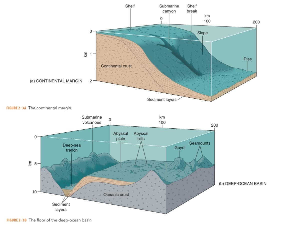 (a) CONTINENTAL MARGIN
FIGURE 2-3A The continental margin.
5-
10
Deep-sea
trench
토
0
2
Submarine
volcanoes
Sediment
layers
FIGURE 2-3B The floor of the deep-ocean basin
Continental crust
Shelf
0
Abyssal Abyssal
plain
hills
Oceanic crust
Submarine Shelf
canyon
break
0
Sediment layers
km
100
Guyot
km
100
Slope
Seamounts
200
Rise
200
(b) DEEP-OCEAN BASIN