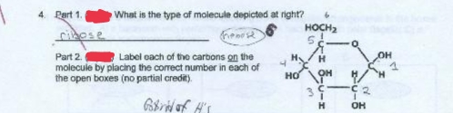 What is the type of molecule depicted at right? 6
HOCH₂
hemose
Part 2.
Label each of the carbons on the
molecule by placing the correct number in each of
the open boxes (no partial credit).
Gobird of H's
4. Part 1.
ribose
H
HOOHH
39 2
H
OH
4