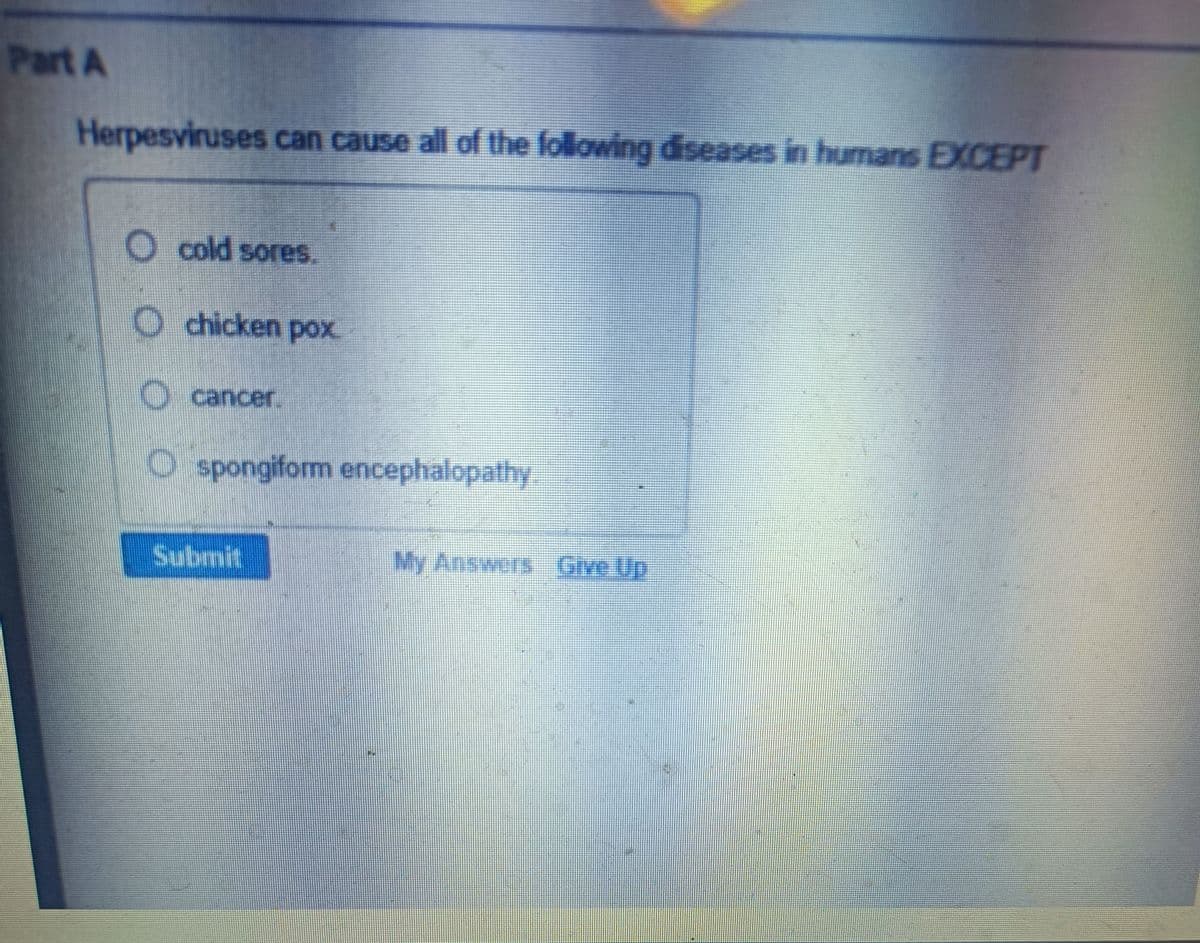 Part A
Herpesviruses can cause all of the following diseases in humans EXCEPT
O cold sores.
chicken pox.
cancer.
Ospongiform encephalopathy
Submit
My Answers Give Up