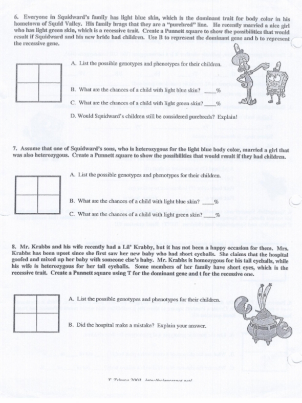 6. Everyone in Squidward's family has light blue skin, which is the dominant trait for body color in his
hometown of Squid Valley. His family brags that they are a "purebred" line. He recently married a nice girl
who has light green skin, whlch is a recessive trait. Create a Punnett square to show the possibilitles that would
result if Squidward and his new bride had children. Use B to represent the dominant gene and b to represent
the recessive gene.
A. List the possible genotypes and phenotypes for their children.
B. What are the chances of a child with light blue skin?
C. What are the chances of a child with light green skin?,
D. Would Squidward's children still be considered purebreds? Explain!
7. Assume that one of Squidward's sons, who is heterozygous for the light blue body color, married a girl that
was also heterozygous. Create a Punnett square to show the possibilitles that would result if they had children.
A. List the possible genotypes and phenotypes for their children.
B. What are the chances of a child with light blue skin?
C. What are the chances of a child with light green skin?
8. Mr. Krabbs and his wife recently had a Lil' Krabby, but it has not been a happy occasion for them. Mrs.
Krabbs has been upset since she first saw her new baby who had short eyeballs. She claims that the hospital
goofed and mixed up her baby with someone else's baby. Mr. Krabbs is homozygous for his tall eyeballs, while
his wife is heterozygous for her tall eyeballs. Some members of her family have short eyes, which is the
recessive trait. Create a Punnett square using T for the dominant gene and t for the recessive one.
A. List the possible genotypes and phenotypes for their children.
B. Did the hospital make a mistake? Explain your answer.
T Telmna nn2 hnleriannarnat nat
