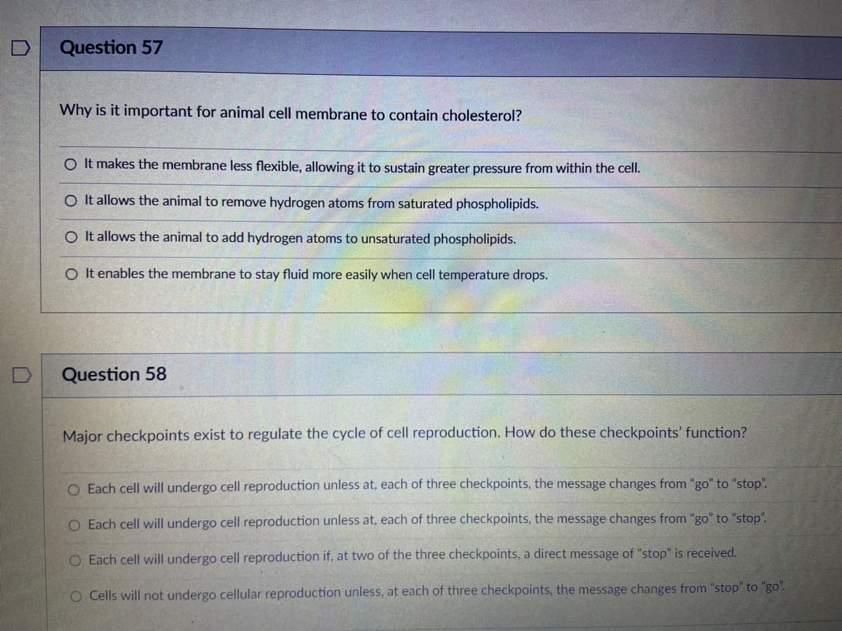 Question 57
Why is it important for animal cell membrane to contain cholesterol?
O It makes the membrane less flexible, allowing it to sustain greater pressure from within the cell.
O It allows the animal to remove hydrogen atoms from saturated phospholipids.
O It allows the animal to add hydrogen atoms to unsaturated phospholipids.
O It enables the membrane to stay fluid more easily when cell temperature drops.
Question 58
Major checkpoints exist to regulate the cycle of cell reproduction. How do these checkpoints' function?
O Each cell will undergo cell reproduction unless at, each of three checkpoints, the message changes from "go" to "stop".
O Each cell will undergo cell reproduction unless at, each of three checkpoints, the message changes from "go" to "stop".
O Each cell will undergo cell reproduction if, at two of the three checkpoints, a direct message of "stop" is received.
O Cells will not undergo cellular reproduction unless, at each of three checkpoints, the message changes from "stop" to "go".

