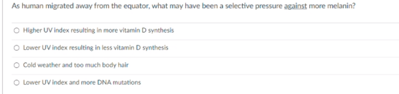 As human migrated away from the equator, what may have been a selective pressure against more melanin?
O Higher UV index resulting in more vitamin D synthesis
O Lower UV index resulting in less vitamin D synthesis
O Cold weather and too much body hair
O Lower UV index and more DNA mutations
