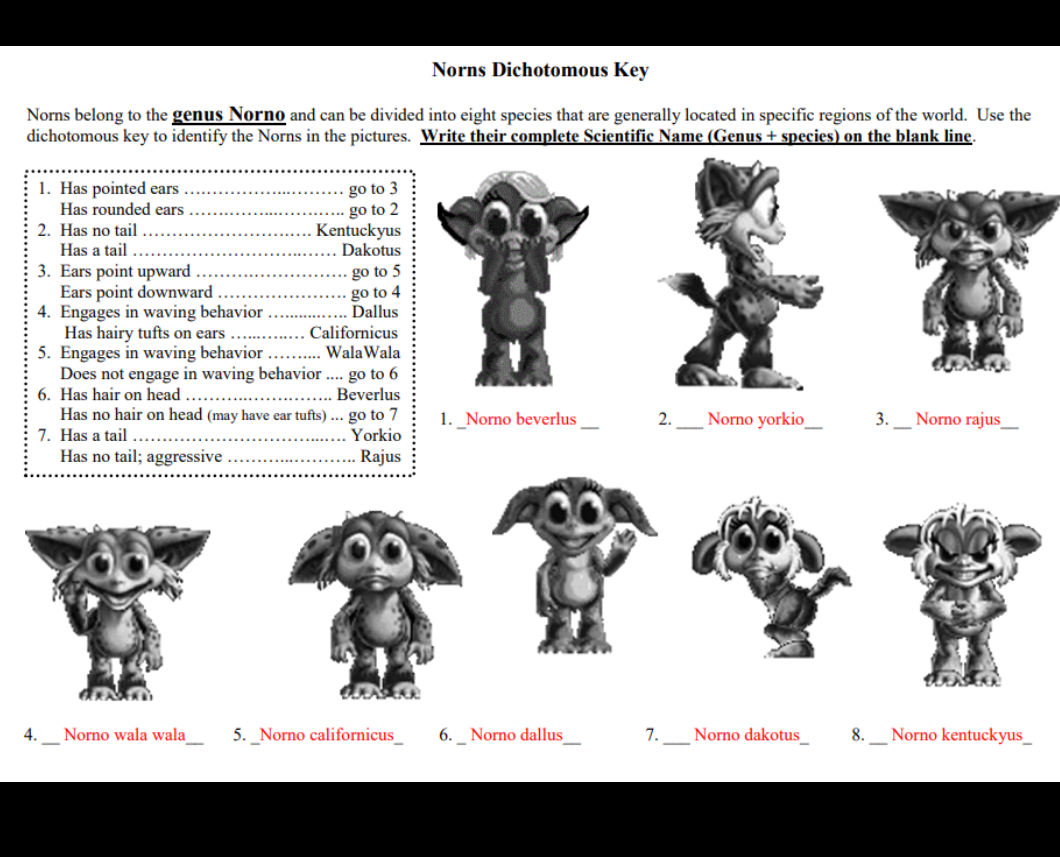 Norns Dichotomous Key
Norns belong to the genus Norno and can be divided into eight species that are generally located in specific regions of the world. Use the
dichotomous key to identify the Norns in the pictures. Write their complete Scientific Name (Genus + species) on the blank line.
1. Has pointed ears
Has rounded ears
2. Has no tail
Has a tail
3. Ears point upward
Ears point downward
4. Engages in waving behavior
Has hairy tufts on ears
5. Engages in waving behavior .. . WalaWala
Does not engage in waving behavior .. go to 6
6. Has hair on head ....
Has no hair on head (may have ear tufts) ... go to 7
7. Has a tail .
Has no tail; aggressive ... ..
go to 3
go to 2
Kentuckyus
Dakotus
go to 5
go to 4
Dallus
Californicus
Beverlus
1. _Norno beverlus _
2.
Norno yorkio_
3._ Norno rajus__
Yorkio
... Rajus
寶靈寶令寶
4.
Norno wala wala_
5. _Norno californicus_
6. _ Norno dallus
7.
Norno dakotus_
8.
Norno kentuckyus_
