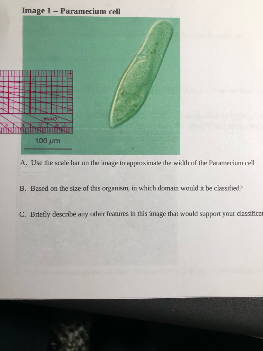 Image 1- Paramecium cell
CHINA
100 µm
A. Use the scale bar on the image to approximate the width of the Paramecium cell
B. Based on the size of this organism, in which domain would it be classified?
C. Briefly describe any other features in this image that would
support your classificat
