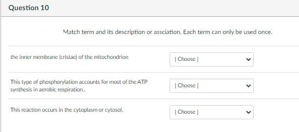 Question 10
Match term and its description or assciation. Each term can only be used once.
the inner membrane (cristae) of the mitochondrion
[ Choose |
This type of phosphorylation accounts for most of the ATP
synthesis in aerobic respiration.
[ Choose )
This reaction occurs in the cytoplasm or cytosol.
[ Choose J
>
>
