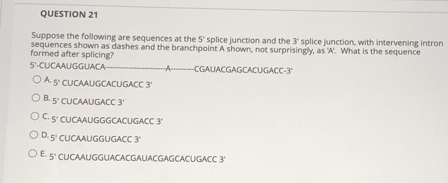 QUESTION 21
Suppose the following are sequences at the 5' splice junction and the 3' splice junction, with intervening intron
sequences shown as dashes and the branchpoint A shown, not surprisingly, as 'A'. What is the sequence
formed after splicing?
5'-CUCAAUGGUACA-
-----CGAUACGAGCACUGACC-3'
O A. 5' CUCAAUGCACUGACC 3'
O B. 5' CUCAAUGACC 3'
O C. 5' CUCAAUGGGCACUGACC 3'
O D. 5' CUCAAUGGUGACC 3'
O E. 5' CUCAAUGGUACACGAUACGAGCACUGACC 3'
