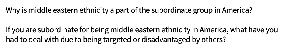 Why is middle eastern ethnicity a part of the subordinate group in America?
If you are subordinate for being middle eastern ethnicity in America, what have you
had to deal with due to being targeted or disadvantaged by others?