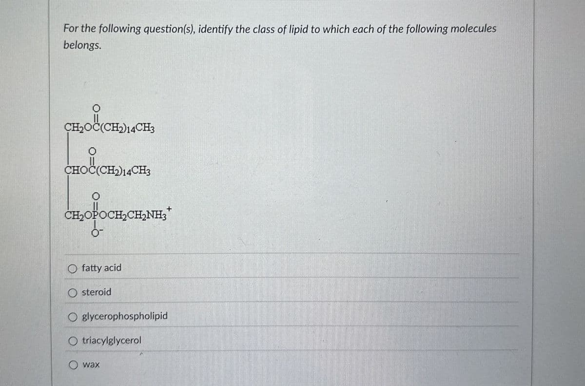 For the following question(s), identify the class of lipid to which each of the following molecules
belongs.
CH₂OC(CH2)14 CH3
CHOC(CH2)14CH3
CH₂OPOCH2CH2NH3
fatty acid
steroid
O glycerophospholipid
O triacylglycerol
wax
+