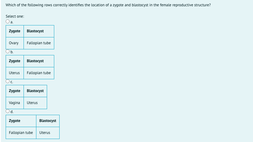 Which of the following rows correctly identifies the location of a zygote and blastocyst in the female reproductive structure?
Select one:
Oa.
Zygote
Blastocyst
Ovary
Fallopian tube
b.
Zygote
Blastocyst
Uterus
Fallopian tube
Zygote
Blastocyst
Vagina
Uterus
d.
Zygote
Blastocyst
Fallopian tube
Uterus
