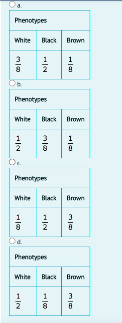 а.
Phenotypes
White
Black
Brown
3
1
1
2
8
b.
Phenotypes
White
Black
Brown
1
1
2
8
8
Oc.
Phenotypes
White
Black
Brown
1
1
3
8
8
d.
Phenotypes
White
Black
Brown
1
1
3
8
8
