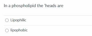 In a phospholipid the 'heads are
O Lipophilic
O lipophobic
