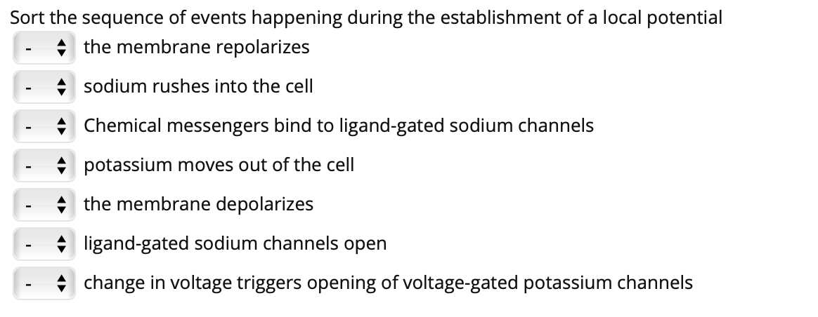 Sort the sequence of events happening during the establishment of a local potential
the membrane repolarizes
sodium rushes into the cell
Chemical messengers bind to ligand-gated sodium channels
potassium moves out of the cell
+ the membrane depolarizes
ligand-gated sodium channels open
+ change in voltage triggers opening of voltage-gated potassium channels
