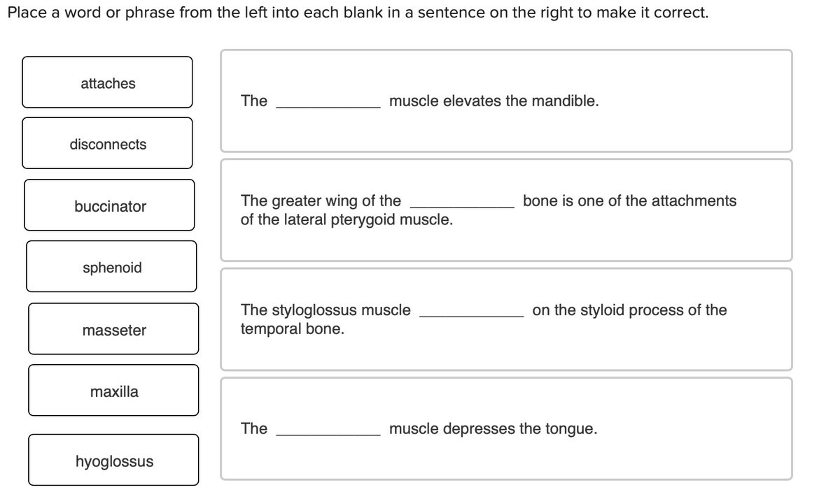 Place a word or phrase from the left into each blank in a sentence on the right to make it correct.
attaches
The
muscle elevates the mandible.
disconnects
The greater wing of the
of the lateral pterygoid muscle.
buccinator
bone is one of the attachments
sphenoid
The styloglossus muscle
temporal bone.
on the styloid process of the
masseter
maxilla
The
muscle depresses the tongue.
hyoglossus
