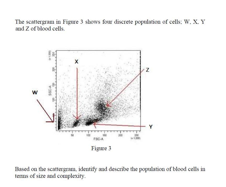 The scattergram in Figure 3 shows four discrete population of cells; W, X, Y
and Z of blood cells.
X
Y
50
100
150
200
200
1.000
FSC-A
Figure 3
Based on the scattergram, identify and describe the population of blood cells in
terms of size and complexity.
SSC-A
tooe's
