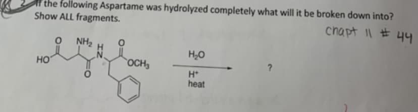 if the following Aspartame was hydrolyzed completely what will it be broken down into?
Show ALL fragments.
chapt 11 # 44
NH₂
H₂O
eget
HO
OCH3
H*
heat