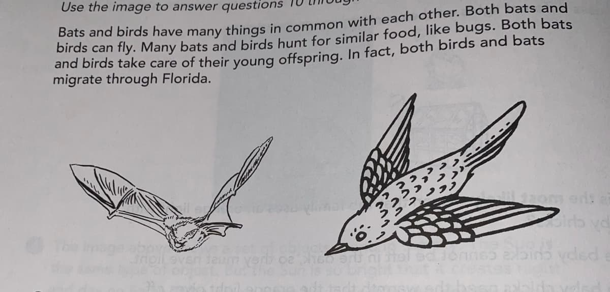 Use the image to answer questions
bats and birds have many things in common with each other. Both bats and
birds can fly. Many bats and birds hunt for similar food, like bugs. Both bats
and birds take care of their young offspring. In fact, both birds and bats
migrate through Florida.
et gfcb
Jnoileven
veded
