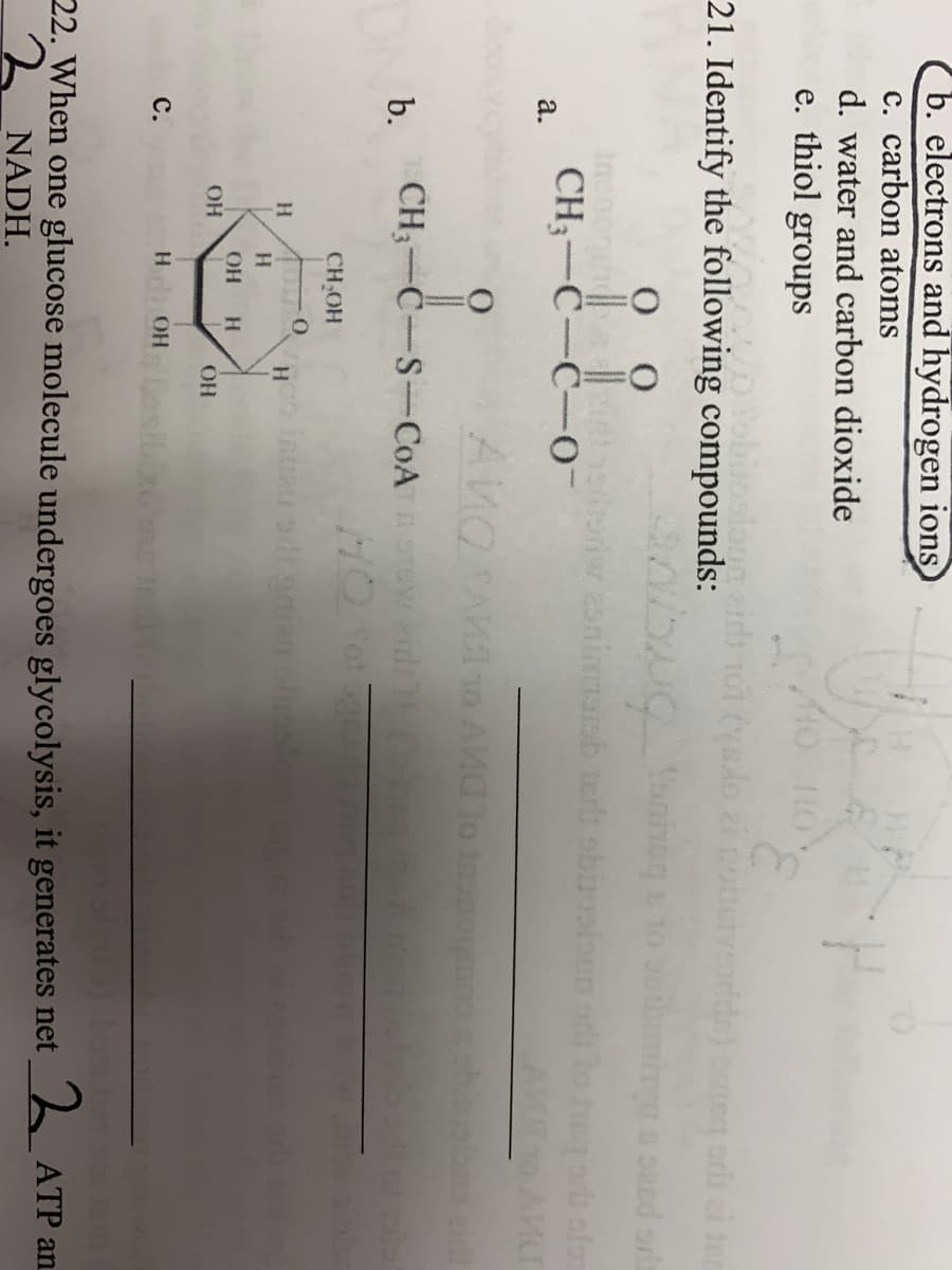 b. electrons and hydrogen ions
c. carbon atoms
d. water and carbon dioxide
e. thiol groups
Joslonn
21. Identify the following compounds:
Tot (yado zi cotervedde) emenn ordi ai ter
21
tbiming s sasd ols
Incnong | sr aoninnaisb terb obinsloun odi
CH;-C-C--
а.
id
CH3-C-S-COA Tewdi
HO Sot an
b.
CH OH
HO.
HO.
с.
22. When one glucose molecule undergoes glycolysis, it generates net
ATP an
NADH.
