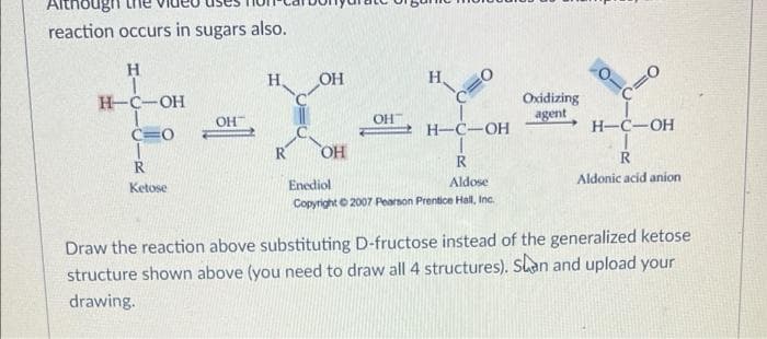 Although
reaction occurs in sugars also.
H,
OH
H
H-C-OH
Oxidizing
agent
OH
OH
Н-С-ОН
Н-С-ОН
C=0
R
OH
R
R
R
Aldose
Aldonic acid anion
Ketose
Enediol
Copyright © 2007 Pearson Prentice Hall, Inc.
Draw the reaction above substituting D-fructose instead of the generalized ketose
structure shown above (you need to draw all 4 structures). Slan and upload your
drawing.
