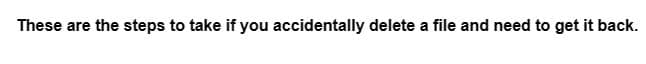 These are the steps to take if you accidentally delete a file and need to get it back.