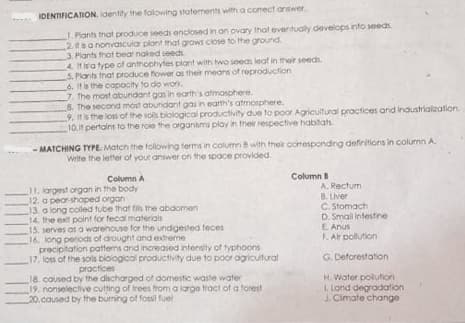 IDENTIFICATION. identily the folowing statements with a conect arewer.
1. Plants trat produce seeds enclosed in an ovary that eventually develops into seeds.
2ba nonvascular plont that grows ciose to the ground.
3. Plants that bear naked seeds
A Hiratype of anthophytes plant with two seean leat in ther seedi.
S. Plants that produce fower as their means of reproduction
6. It is the capocity to do work.
7. the most abundant gas in earth's atmosphere.
8. The second most abundant gas in earth's atmosphere.
9, tis the loss of the soils blological productivity due to poor Agricultural practices and industrialzation.
10.it pertains to the roie the organtms play in their respective habitats.
MATCHING TYPE. Match the following terms in column with their conesponding defiritions in column A.
Write the letter of your answer on the space provided
Column
A. Rectum
Column A
11. largest organ in the body
12. a pear-shaped organ
13. a long coled tube that tils the abdomen
14. the exll point for fecal materials
15. serves as a warehouse for the undgested teces
16. long periods of drought and edreme
precipitation pattems and increased intensity of typhoons
17. loss of the sols biological productivity due to poor ogricutural
B. Liver
C. Stomach
D. Small intestine
E Anus
F. Air pollution
G. Deforestation
proctices
18 coused by the discharged of domestic waste water
19. nonselective cutting of trees from a large tract of a torest
20.caused by the burning of fossil fuel
H. Water polution
I. Lond degradation
J. Cimate change
