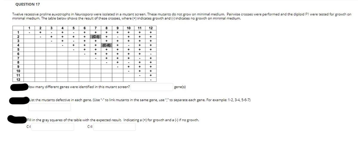 QUESTION 17
Twelve recessive proline auxotrophs in Neurospora were isolated in a mutant screen. These mutants do not grow on minimal medium. Pairwise crosses were performed and the diploid F1 were tested for growth on
minimal medium. The table below shows the result of these crosses, where (+) indicates growth and (-) indicates no growth on minimal medium.
1
4
6
7
8.
9
10
11
12
1
+
(C-1)
+
3
4
(C-II)
6
8
9
10
11
12
How many different genes were identified in this mutant screen?
gene(s)
List the mutants defective in each gene. (Use "-" to link mutants in the same gene, use "," to separate each gene. For example: 1-2, 3-4, 5-6-7)
Fill in the gray squares of the table with the expected result. Indicating a (+) for growth and a (-) if no growth.
C-I
C-II
++++
+++
