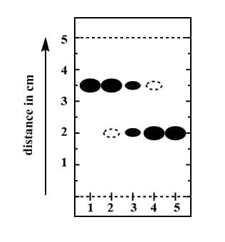 distance in cm
er
5
4
3
2
1
T
2
+4
+-+-+-
3 4
5