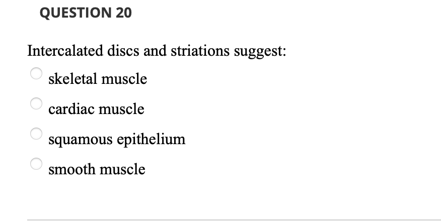 QUESTION 20
Intercalated discs and striations suggest:
skeletal muscle
cardiac muscle
squamous epithelium
smooth muscle
