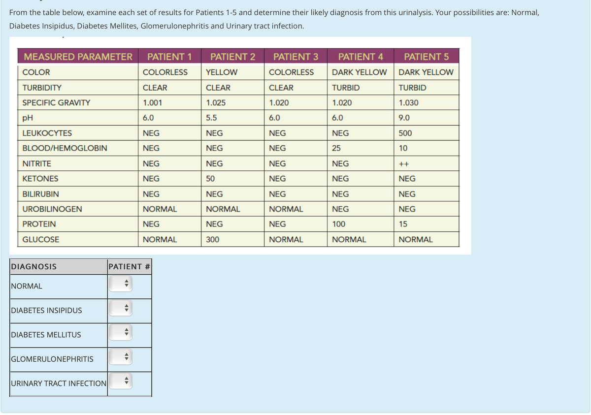 From the table below, examine each set of results for Patients 1-5 and determine their likely diagnosis from this urinalysis. Your possibilities are: Normal,
Diabetes Insipidus, Diabetes Mellites, Glomerulonephritis and Urinary tract infection.
MEASURED PARAMETER
PATIENT 1
PATIENT 2
PATIENT 3
PATIENT 4
PATIENT 5
COLOR
COLORLESS
YELLOW
COLORLESS
DARK YELLOW
DARK YELLOW
TURBIDITY
CLEAR
CLEAR
CLEAR
TURBID
TURBID
SPECIFIC GRAVITY
1.001
1.025
1.020
1.020
1.030
pH
6.0
5.5
6.0
6.0
9.0
LEUKOCYTES
NEG
NEG
NEG
NEG
500
BLOOD/HEMOGLOBIN
NEG
NEG
NEG
25
10
NITRITE
NEG
NEG
NEG
NEG
++
КЕTONES
NEG
50
NEG
NEG
NEG
BILIRUBIN
NEG
NEG
NEG
NEG
NEG
UROBILINOGEN
NORMAL
NORMAL
NORMAL
NEG
NEG
PROTEIN
NEG
NEG
NEG
100
15
GLUCOSE
NORMAL
300
NORMAL
NORMAL
NORMAL
DIAGNOSIS
PATIENT #
NORMAL
DIABETES INSIPIDUS
DIABETES MELLITUS
GLOMERULONEPHRITIS
URINARY TRACT INFECTION
