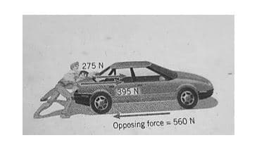 275 N
395 N
Opposing force = 560 N
