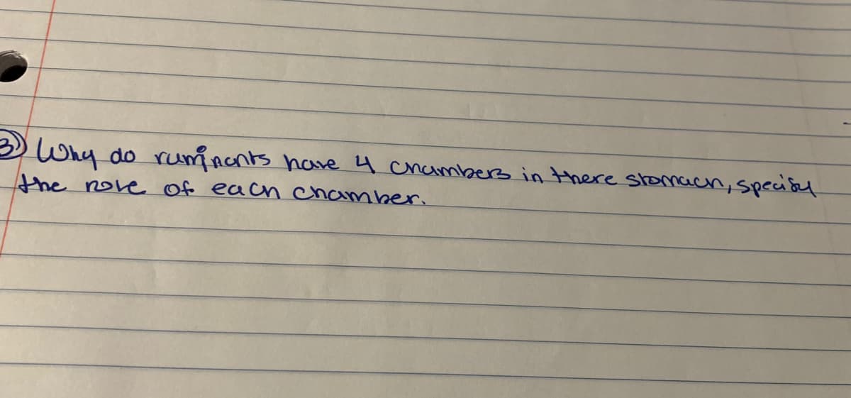 do rumnonts have 4 chambers in there stomacn, specisul
Why
the nove Of each chamber.
