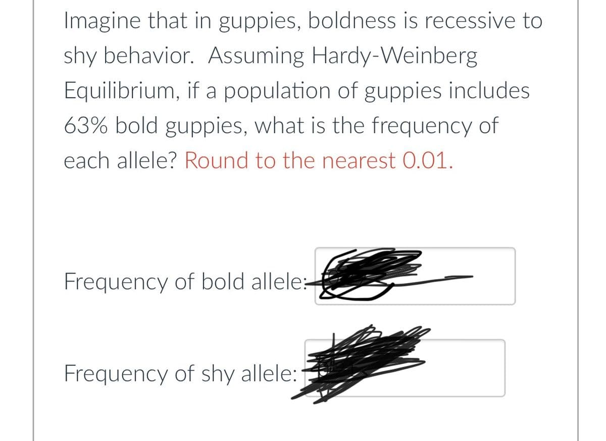 Imagine that in guppies, boldness is recessive to
shy behavior. Assuming Hardy-Weinberg
Equilibrium, if a population of guppies includes.
63% bold guppies, what is the frequency of
each allele? Round to the nearest 0.01.
Frequency of bold allele:
Frequency of shy allele: