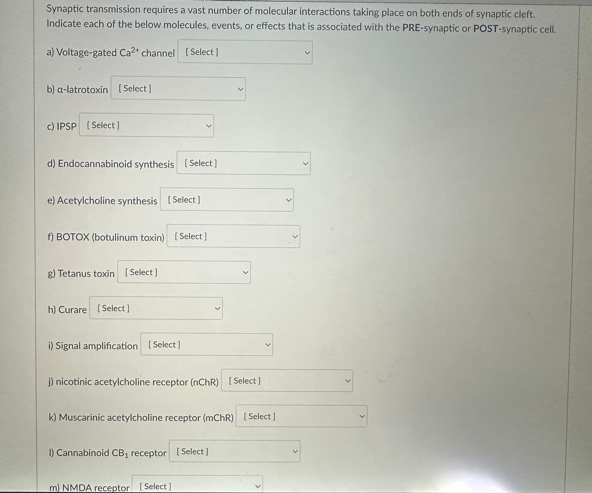 Synaptic transmission requires a vast number of molecular interactions taking place on both ends of synaptic cleft.
Indicate each of the below molecules, events, or effects that is associated with the PRE-synaptic or POST-synaptic cell.
a) Voltage-gated Ca2+ channel [Select]
b) a-latrotoxin [Select]
c) IPSP [Select]
d) Endocannabinoid synthesis [Select]
e) Acetylcholine synthesis [Select]
f) BOTOX (botulinum toxin) [Select]
g) Tetanus toxin [Select]
h) Curare [Select]
i) Signal amplification [Select]
j) nicotinic acetylcholine receptor (nChR) [Select ]
<
k) Muscarinic acetylcholine receptor (mChR) [Select]
I) Cannabinoid CB₁ receptor [Select ]
m) NMDA receptor [Select]
<
<
<
>