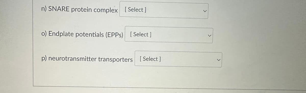 n) SNARE protein complex [Select ]
o) Endplate potentials (EPPs) [Select]
p) neurotransmitter transporters [Select]
<
<
<