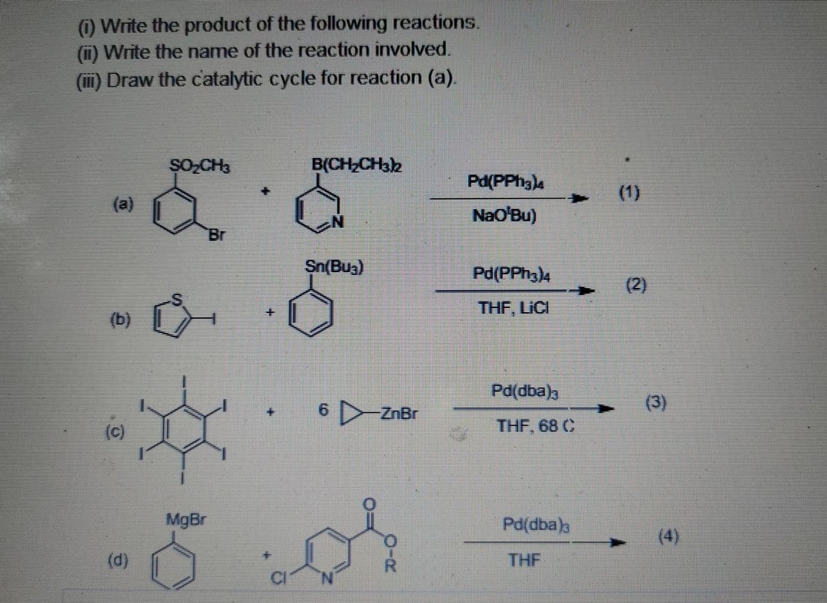 (1) Write the product of the following reactions.
(ii) Write the name of the reaction involved.
(iii) Draw the catalytic cycle for reaction (a).
SO CH3
B(CH₂CH3)2
(a)
Sn(Bu₂)
6 ZnBr
(c)
(d)
Ú
MgBr
wwwww
O-K
Pd(PPH3)4
NaO'Bu)
Pd(PPH3)4
THF, LICI
Pd(dba)
THF, 68 C
Pd(dba)
THF
(1)
(2)
(3)
(4)