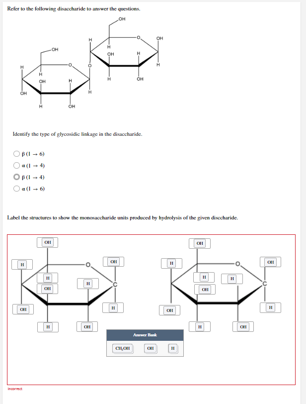 Refer to the following disaccharide to answer the questions.
OH
OH
H
H
OH
OH
Identify the type of glycosidic linkage in the disaccharide.
OB(16)
a (14)
OB(1 →4)
a (16)
Label the structures to show
OH
H
H
OH
OH
H
OH
Incorrect
-I I
H
OH
·0
H
OH
H
H
OH
monosaccharide units produced by hydrolysis of the given disccharide.
OH
OH
H
H
H
OH
H
CH₂OH
Answer Bank
OH
OH
H
H
H
OH
OH
OH
H