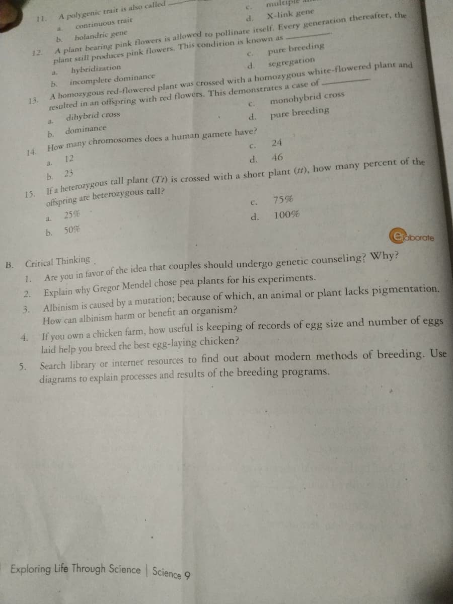 11.
A polygenic trait is also called
multiple
a.
continuous trait
holandric gene
d.
X-link gene
b.
A plant bearing pink flowers is allowed to pollinate itself. Every generation thereafter, the
plant still produces pink flowers. This condition is known as
hybridization
12.
C.
pure breeding
a.
b.
incomplete dominance
d.
segregation
13.
A homozygous red-flowered plant was crossed with a homozygous white-flowered plant and
resulted in an offspring with red flowers. This demonstrates a case of
dihybrid cross
monohybrid cross
a.
C.
b.
dominance
d.
pure breeding
How many chromosomes does a human gamete have?
14.
12
a.
C.
24
b.
23
d.
46
If a heterozygous tall plant (TI) is crossed with a short plant (t), how many percent of the
offspring are heterozygous tall?
15.
a.
25%
с.
75%
b.
50%
d.
100%
Critical Thinking
Are you in favor of the idea that couples should undergo genetic counseling? Why?
Explain why Gregor Mendel chose pea plants for his experiments.
Albinism is caused by a mutation; because of which, an animal or plant lacks pigmentation.
How can albinism harm or benefit an organism?
If vou own a chicken farm, how useful is keeping of records of egg size and number of eggs
B.
eaborate
1.
2.
3.
4.
laid help you breed the best egg-laying chicken?
Search library or internet resources to find out about modern methods of breeding. Use
diagrams to explain processes and results of the breeding programs.
5.
Exploring Life Through Science Science 9
