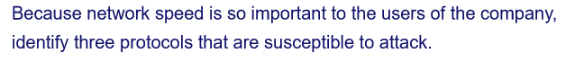 Because network speed is so important to the users of the company,
identify three protocols that are susceptible to attack.