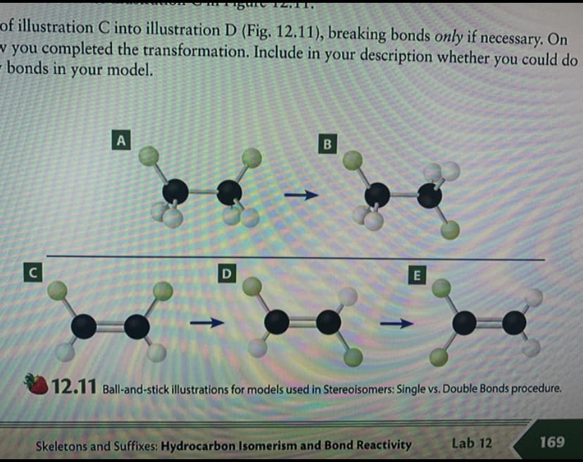 of illustration C into illustration D (Fig. 12.11), breaking bonds only if necessary. On
v you completed the transformation. Include in your description whether you could do
- bonds in your model.
C
D
E
12.11 Ball-and-stick illustrations for models used in Stereoisomers: Single vs. Double Bonds procedure.
Skeletons and Suffixes: Hydrocarbon Isomerism and Bond Reactivity
Lab 12
169
A.
