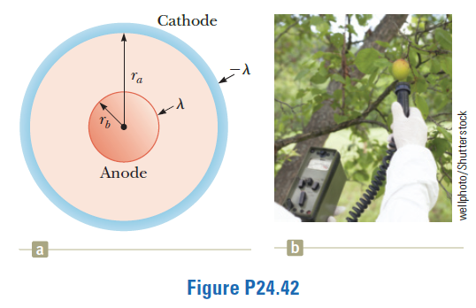 Cathode
Anode
a
Figure P24.42
wellphoto/Shutterstock
