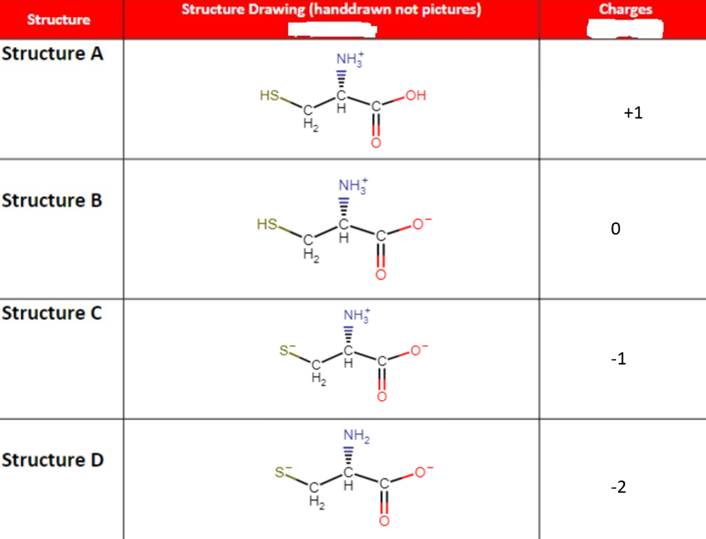 Structure
Structure A
Structure B
Structure C
Structure D
Structure Drawing (handdrawn not pictures)
NH₂
+
HS
ΤΟ…
NH
wh
HS
III
VI
NH₂
sh
I will
-OH
NH₂
Hr
H₂
ΤΟ…
Charges
0
+1
-1
-2