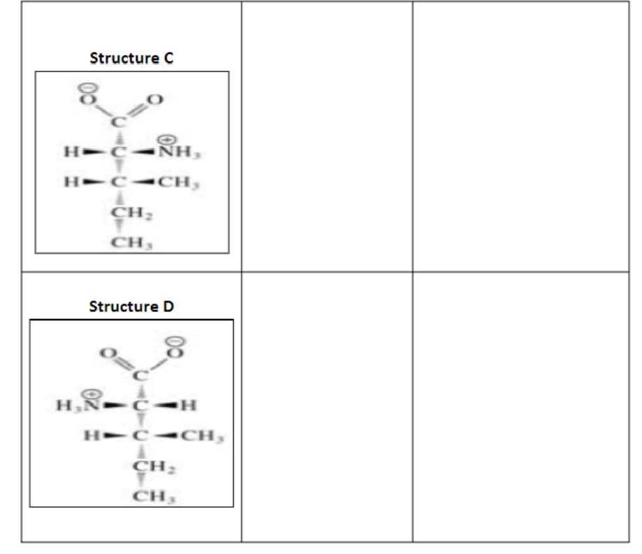 Structure C
н-с NH,
H C CH,
c.
CH₂
CH,
Structure D
H₁ - C-H
н-с
H=CCH,
CH₂
CH,