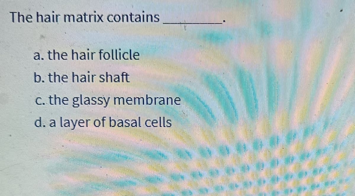 The hair matrix contains
a. the hair follicle
b. the hair shaft
c. the glassy membrane
d. a layer of basal cells
