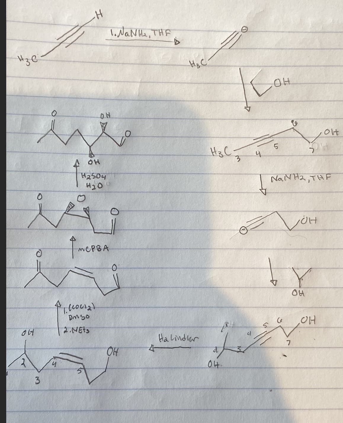 H3C
ㅇㅓ
ㅇ
2 4
3
1
H
AH
ON
H2504
H2O
vep3/
11.14012)
DMSO
2. Nets
1. NaN Ha, THF
애
4
H₂ C
Ha Lindlar
HoC.
ا
a
04
니
니
매
V
NaNH2, THF
JOH
ㄱ
OH
H
H