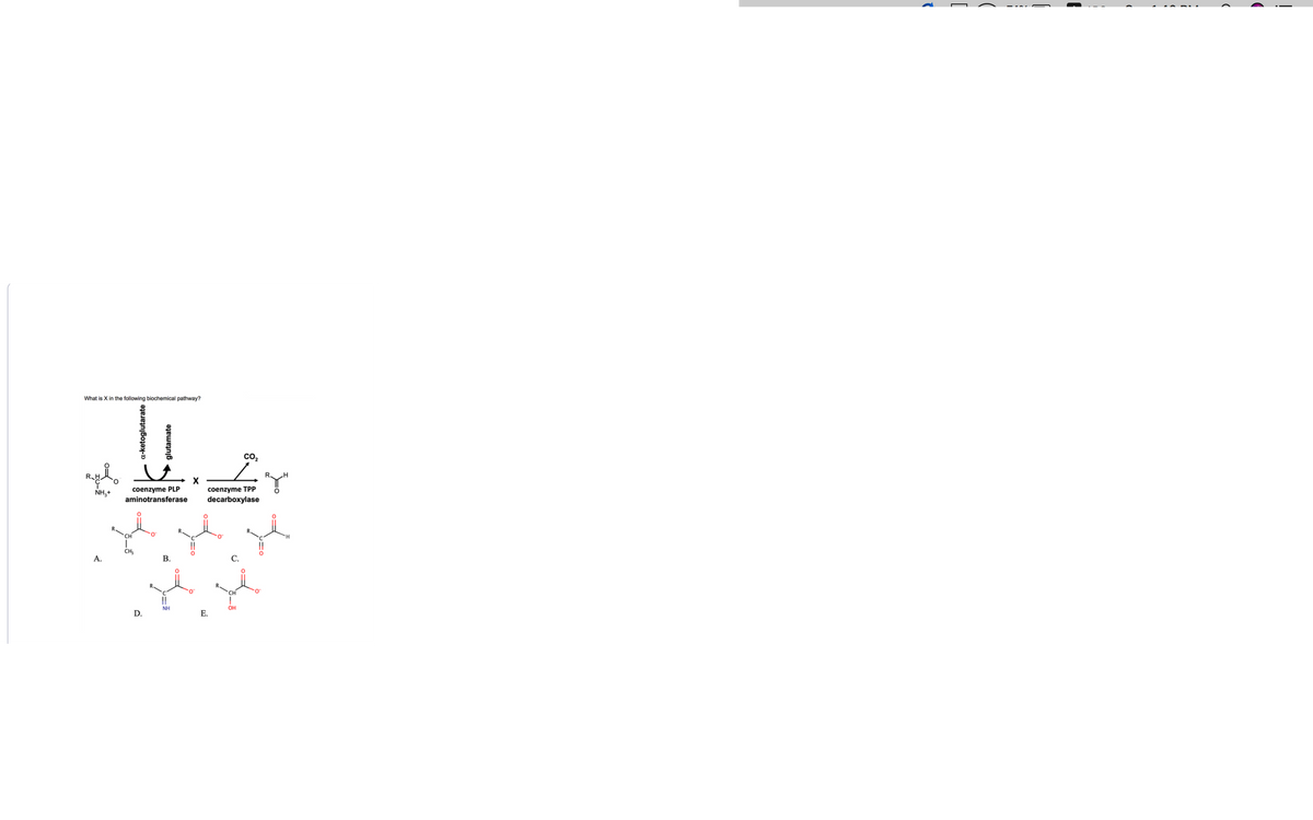 What is Xi
RHI
NH₂+
A.
following biochemic pathway?
CH
a-ketoglutarate
coenzyme PLP
aminotransferase
CH₂₁₂
glutamate
D.
B.
NH
X
coenzyme TPP
decarboxylase
0
E.
CO₂
OH