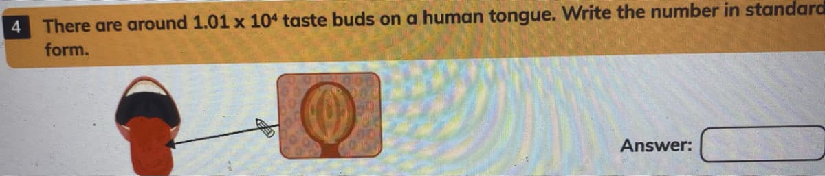 4
There are around 1.01 x 104 taste buds on a human tongue. Write the number in standard
form.
Answer:
