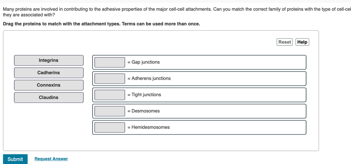 Many proteins are involved in contributing to the adhesive properties of the major cell-cell attachments. Can you match the correct family of proteins with the type of cell-cel
they are associated with?
Drag the proteins to match with the attachment types. Terms can be used more than once.
Reset
Help
Integrins
Gap junctions
Cadherins
= Adherens junctions
Connexins
Tight junctions
%3D
Claudins
= Desmosomes
= Hemidesmosomes
Submit
Request Answer
